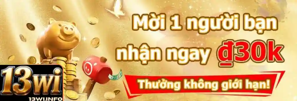 Đăng ký 13WI